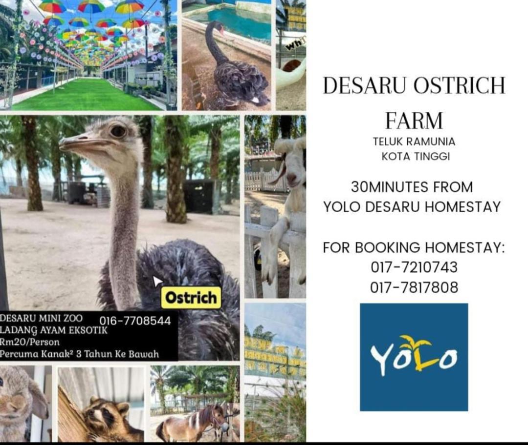 Desaru Homestay-Eva Villa Pool Homestay By Yolo Resort Bandar Penawar Exterior foto